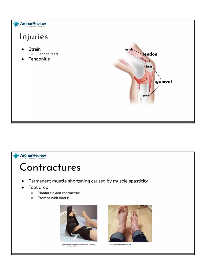 The Musculoskeletal System Notes - Page 18