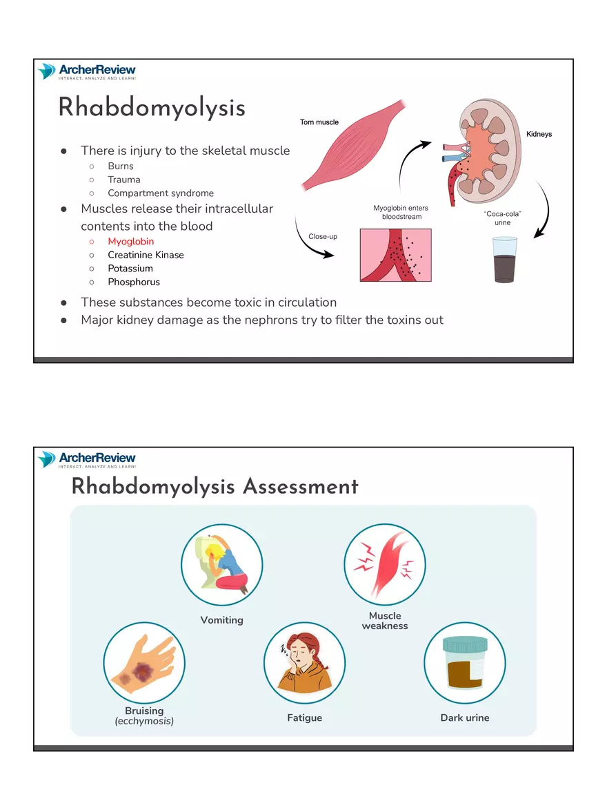 The Musculoskeletal System Notes - Page 20