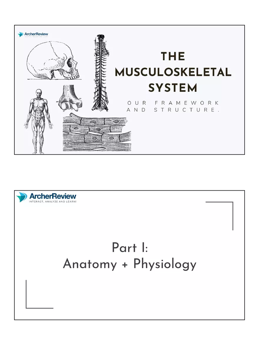 The Musculoskeletal System Notes - Page 1