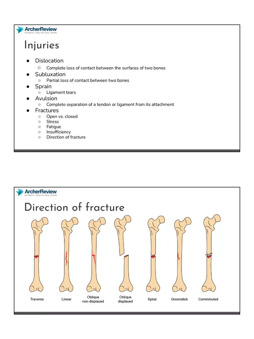 The Musculoskeletal System Notes - Page 4