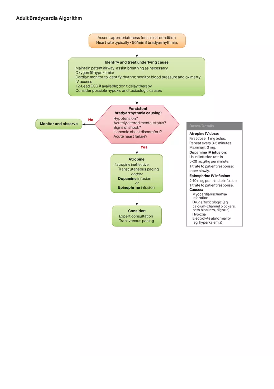 Adult Bradycardia Algorithm - Page 1