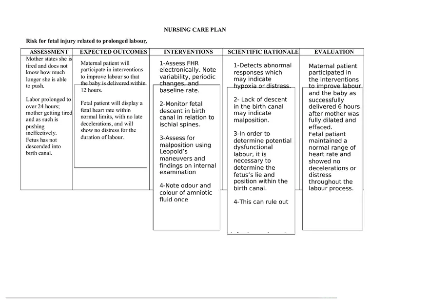 Risk for Fetal Injury Related to Prolonged Labour - Page 1