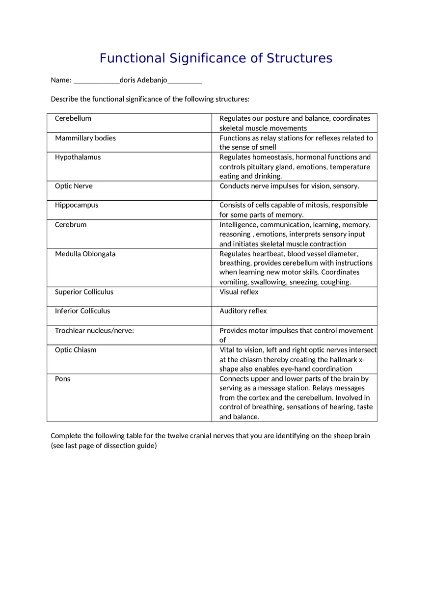 CNS Lab – Spinal Cord and Brain Features - Page 11