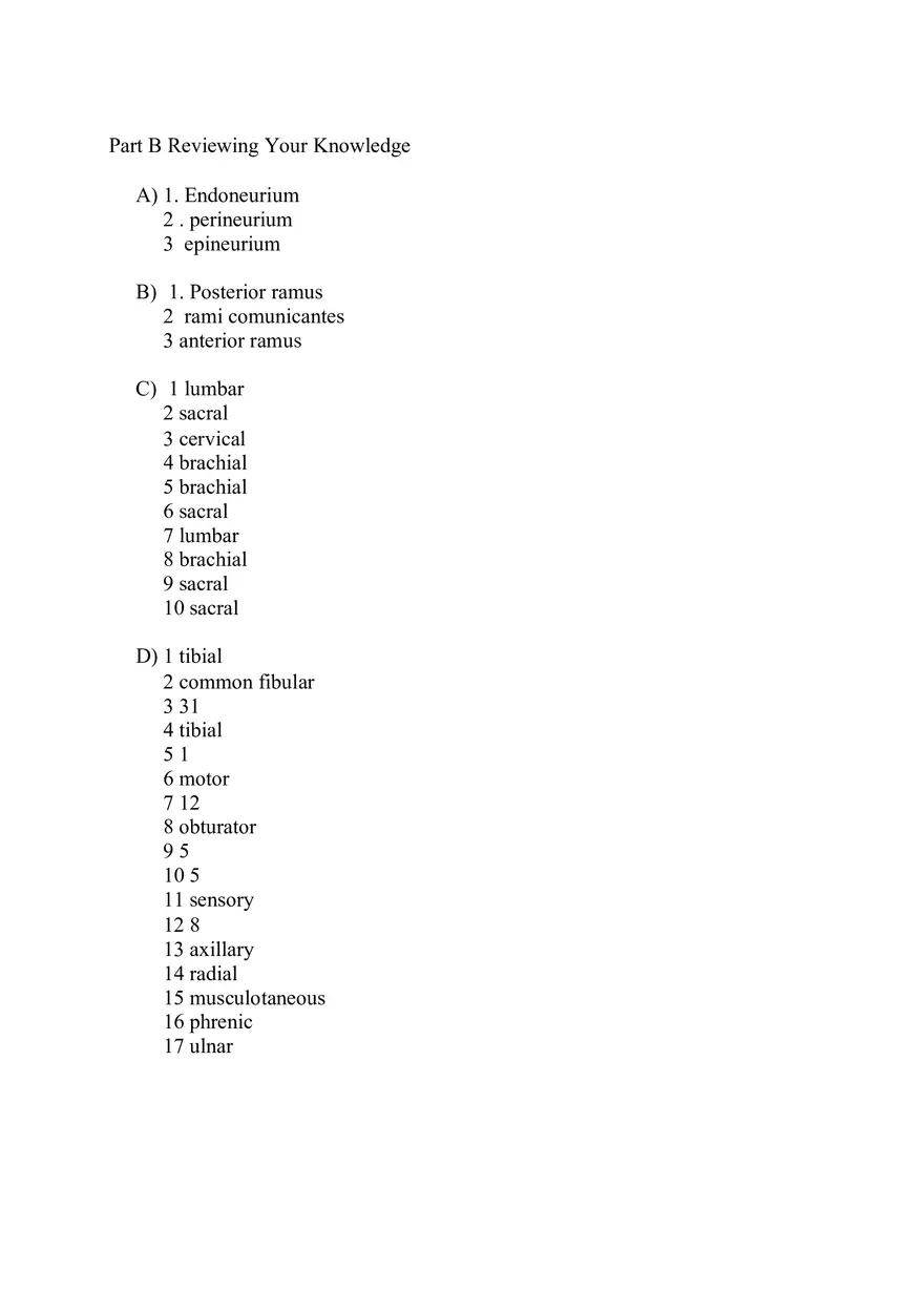 CNS Lab – Spinal Cord and Brain Features - Page 14