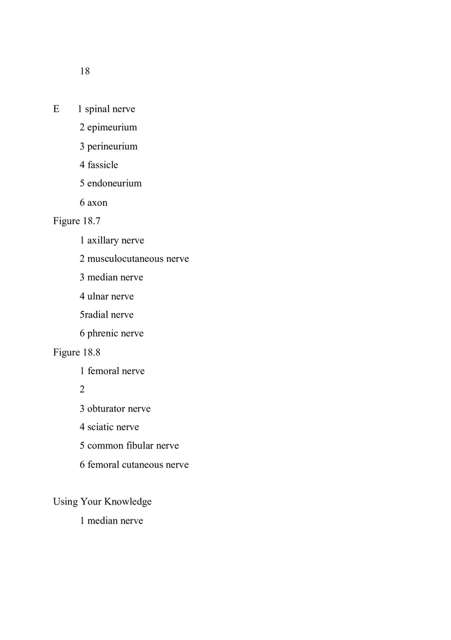 CNS Lab – Spinal Cord and Brain Features - Page 15
