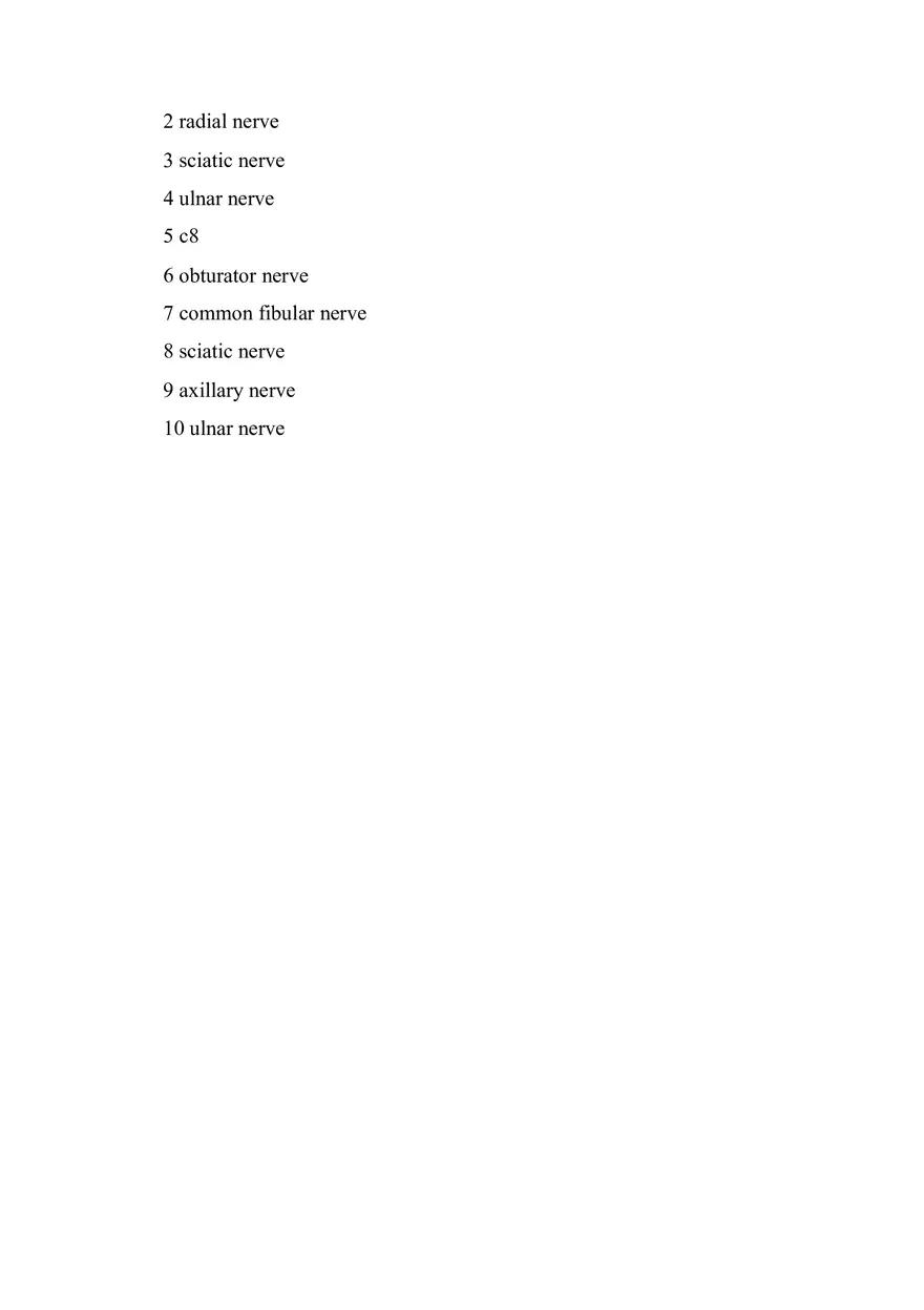 CNS Lab – Spinal Cord and Brain Features - Page 16