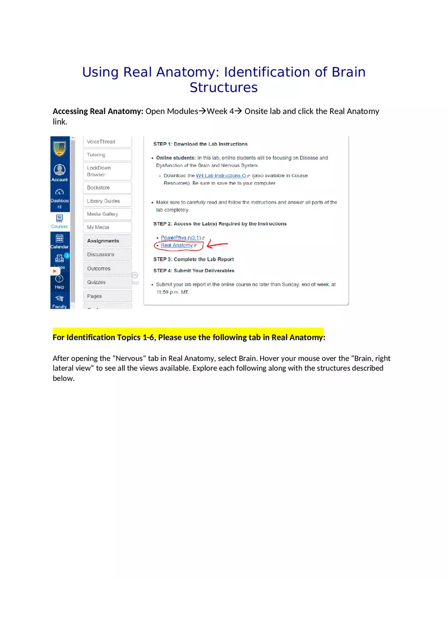 CNS Lab – Spinal Cord and Brain Features - Page 17