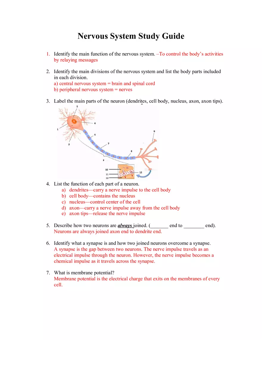 Nervous System Study Guide - Page 1