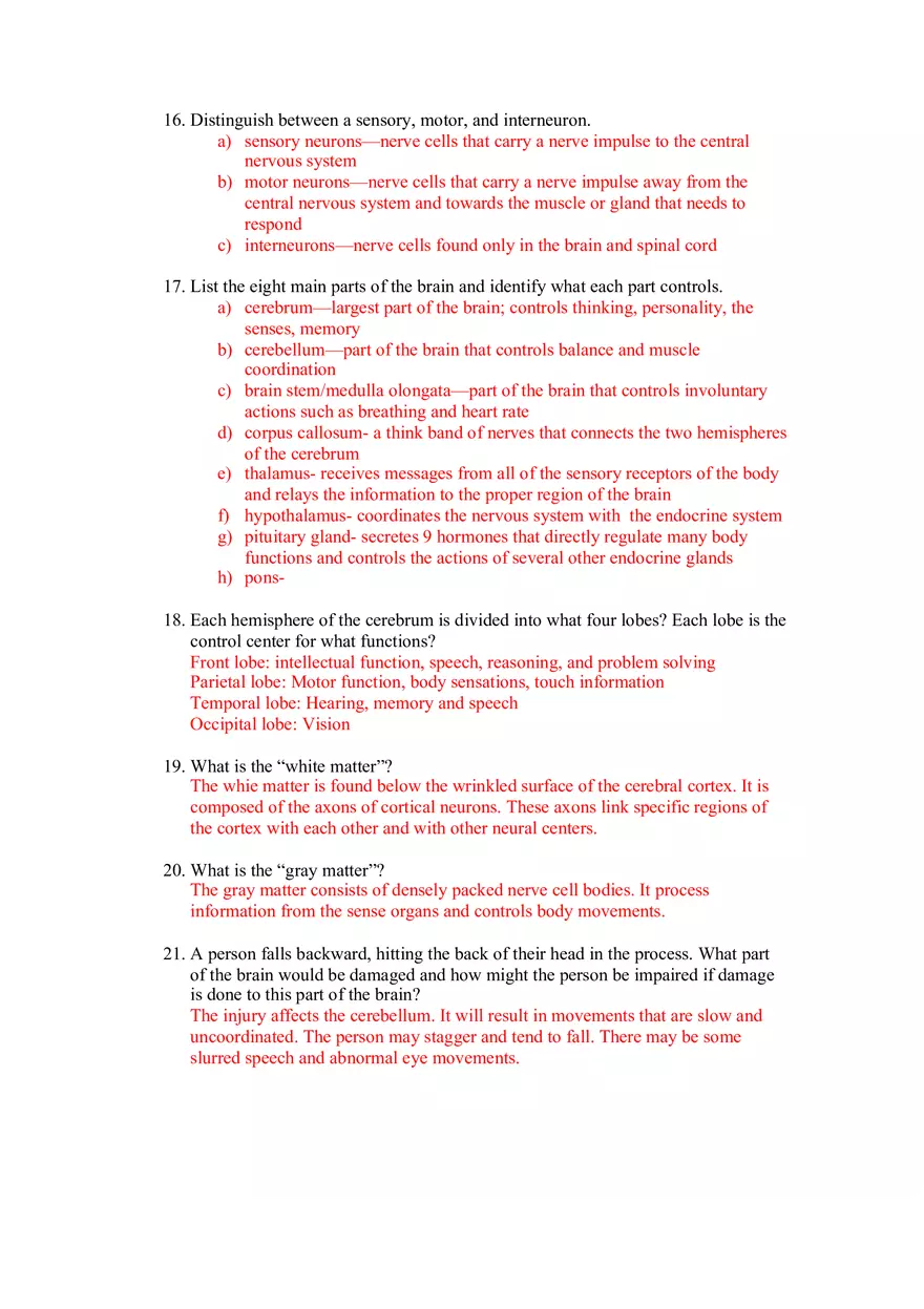 Nervous System Study Guide - Page 3