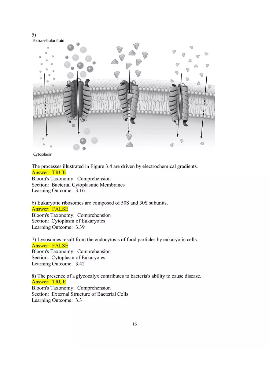 Chapter 3 Cell Structure and Function True False - Page 2