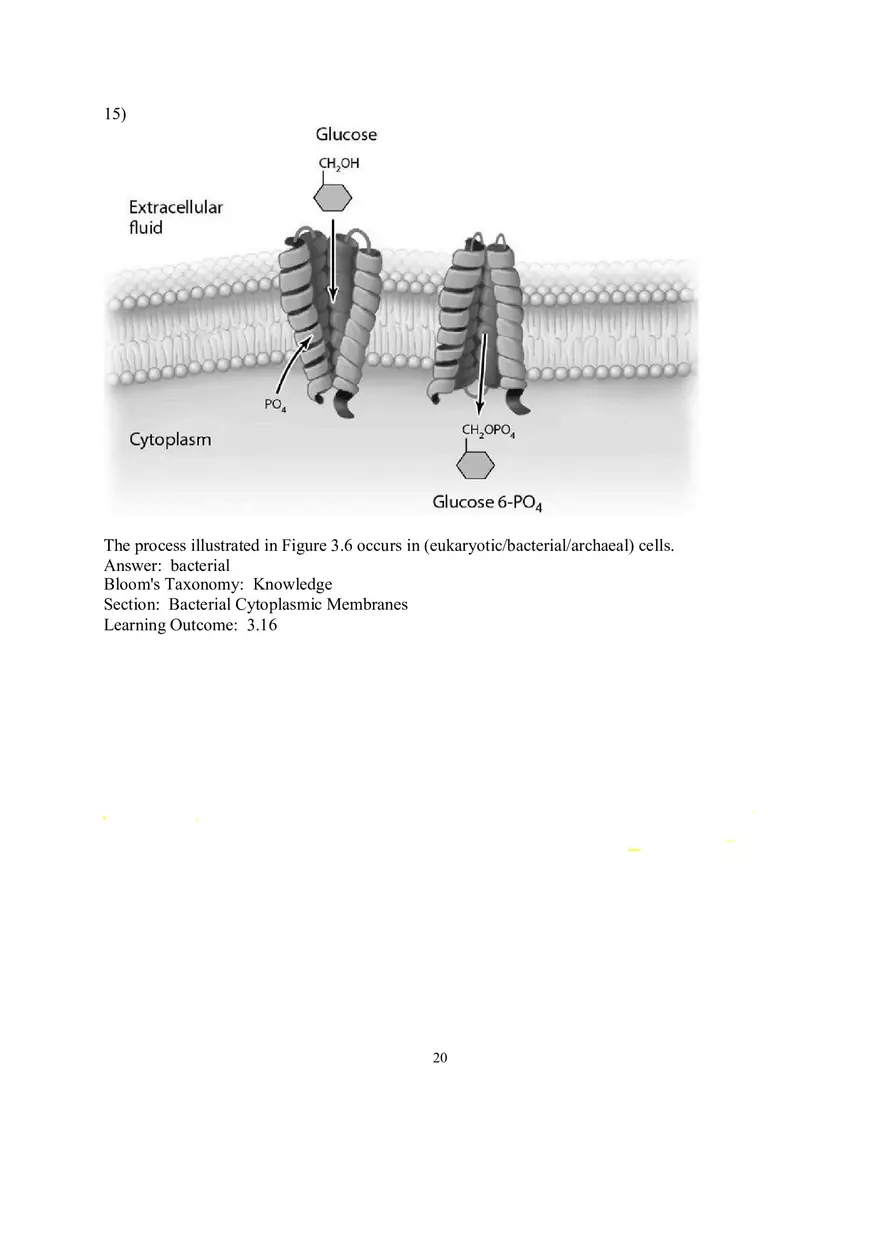 Chapter 3 Cell Structure and Function Short Answer - Page 4