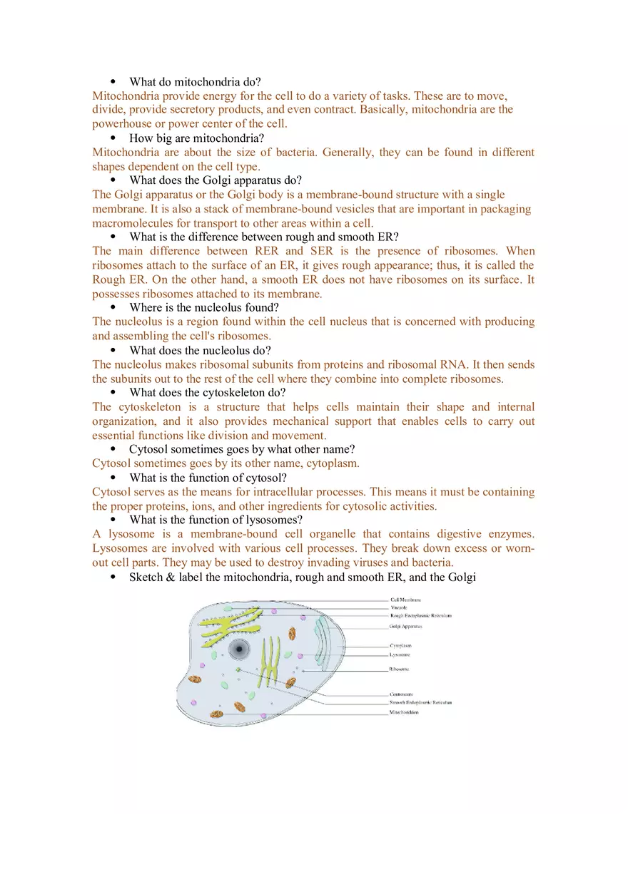 Cells Alive Worksheet - Page 2