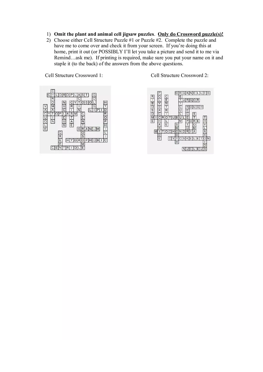 Cells Alive Worksheet - Page 4
