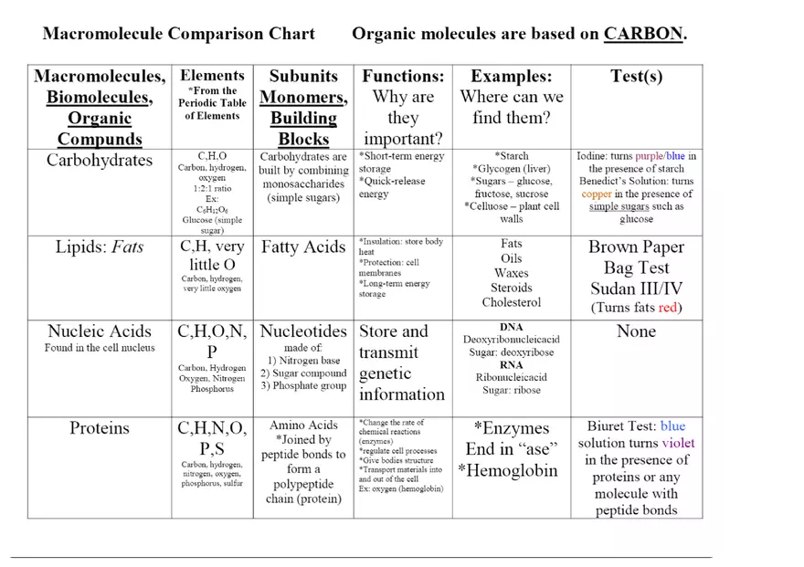 Macromolecule Comparison Chart - Page 1