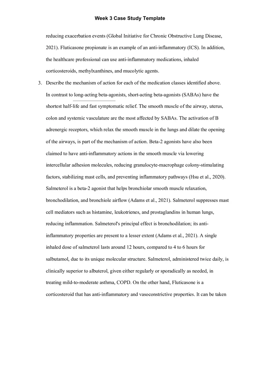 Week 3 Case Study Template - Page 4