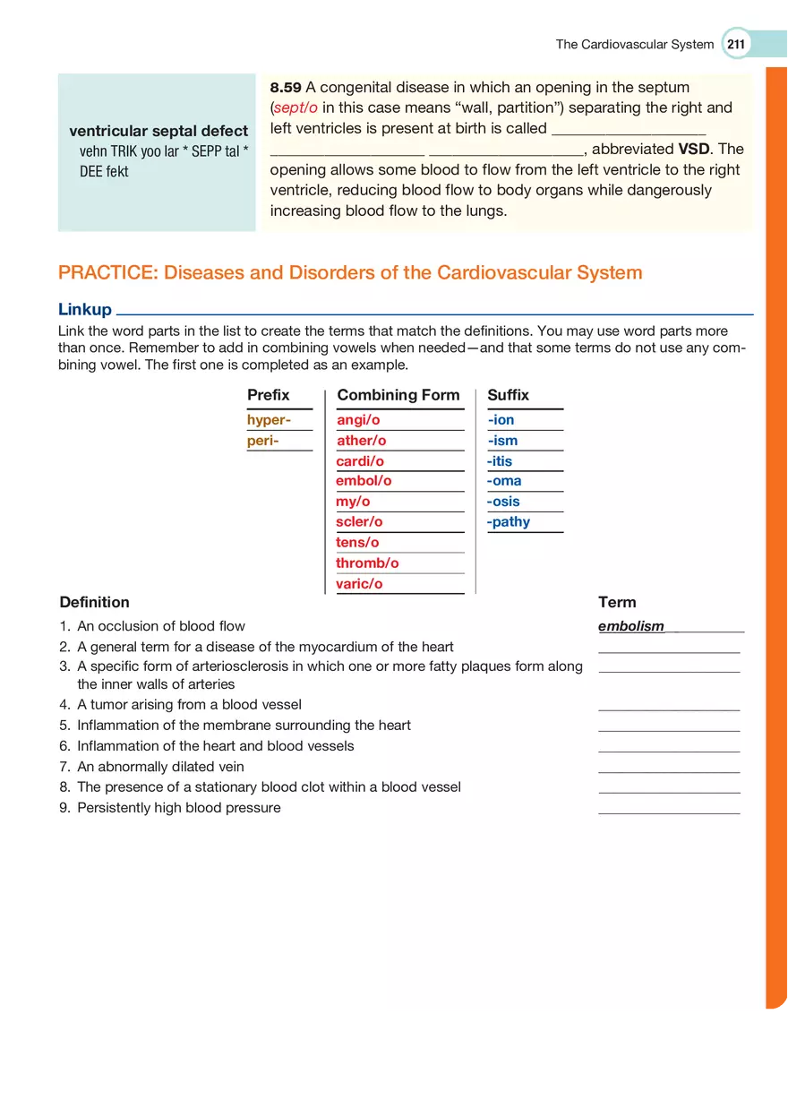 The Cardiovascular System Medical Terminology - Page 12