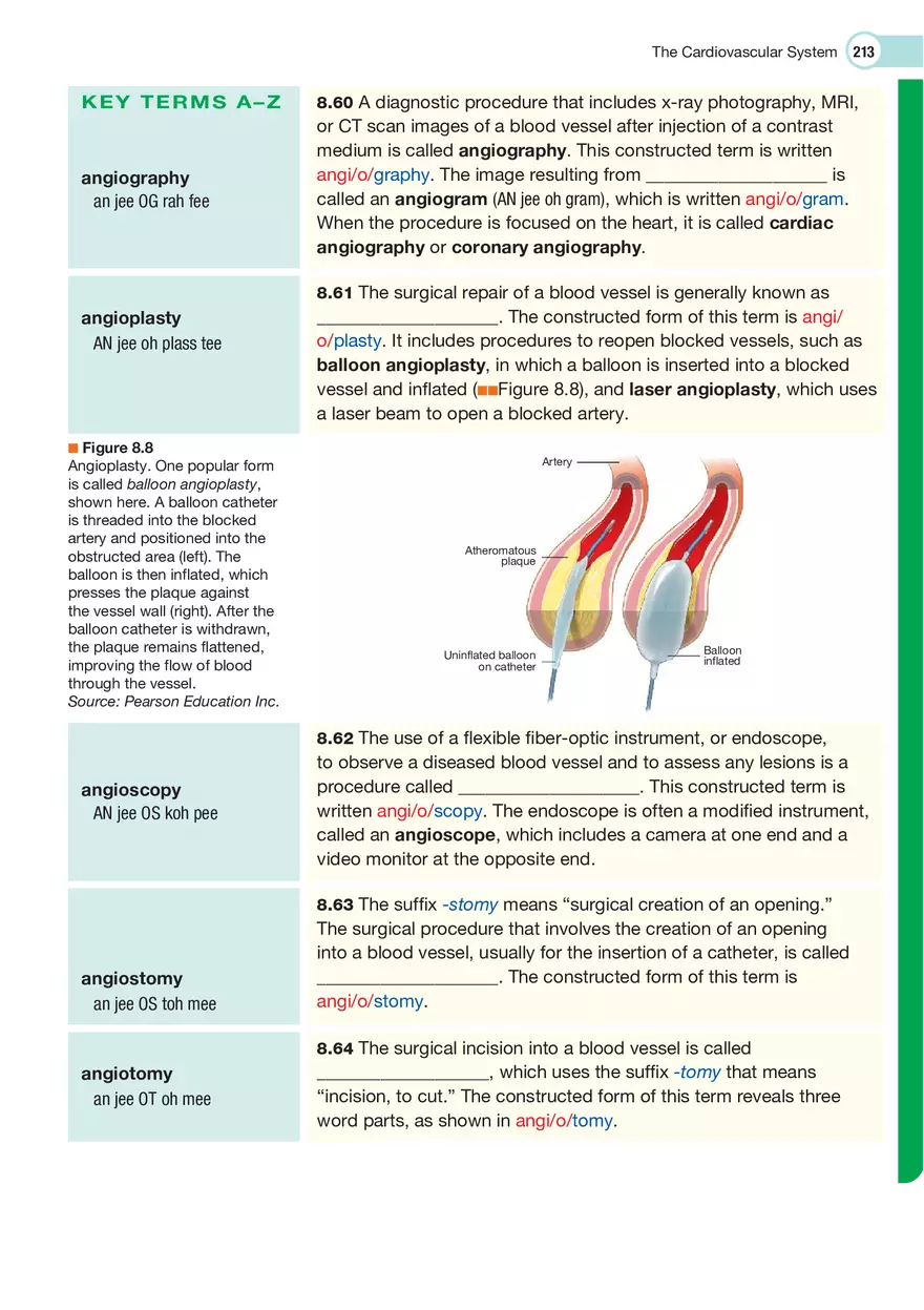 The Cardiovascular System Medical Terminology - Page 15
