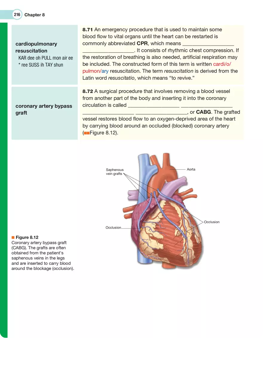 The Cardiovascular System Medical Terminology - Page 18
