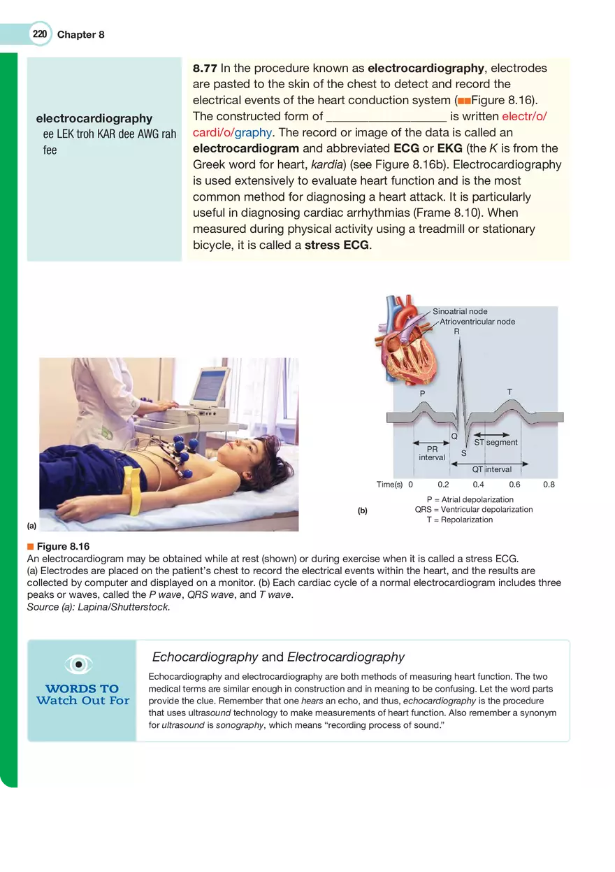 The Cardiovascular System Medical Terminology - Page 22