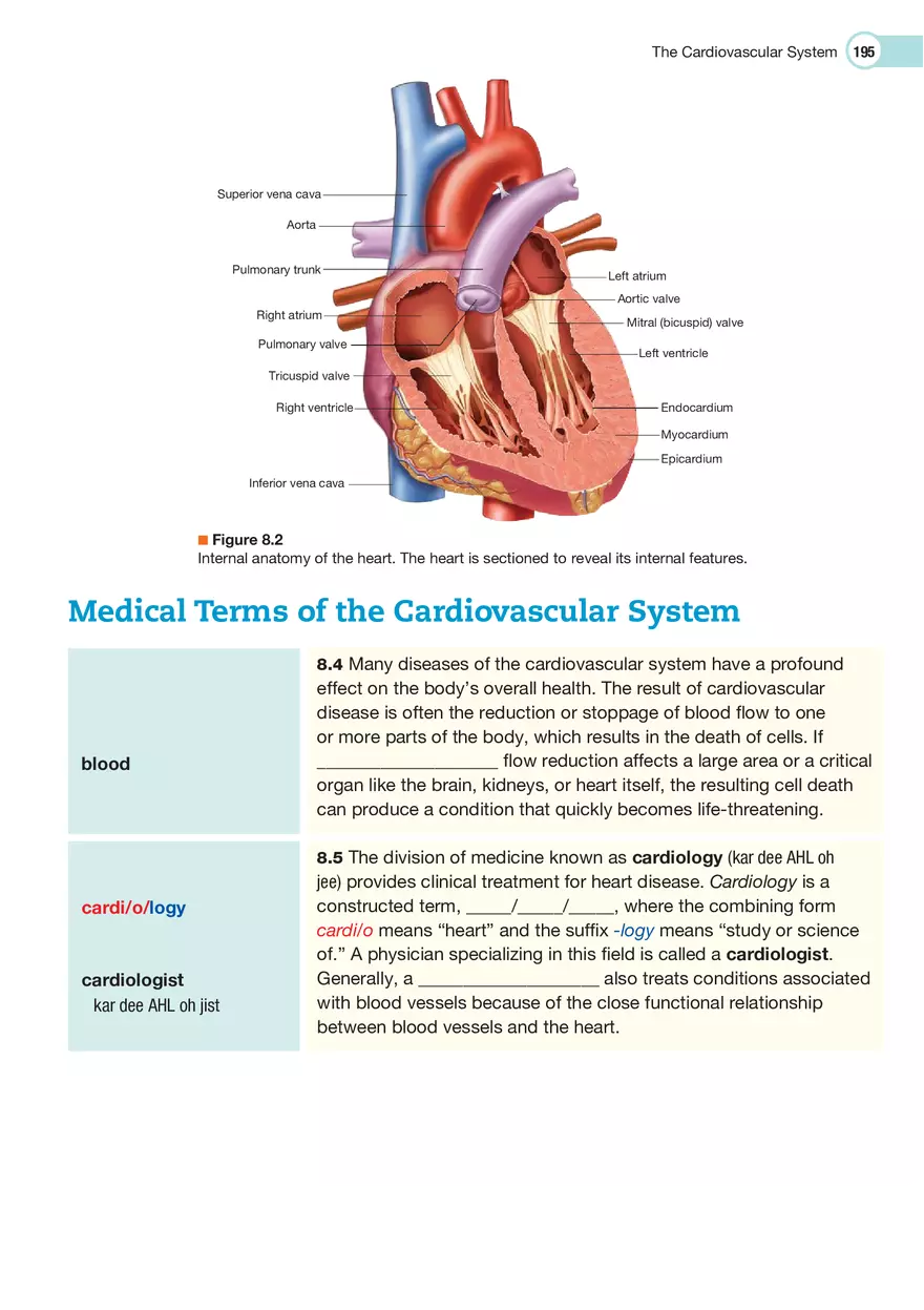 The Cardiovascular System Medical Terminology - Page 24