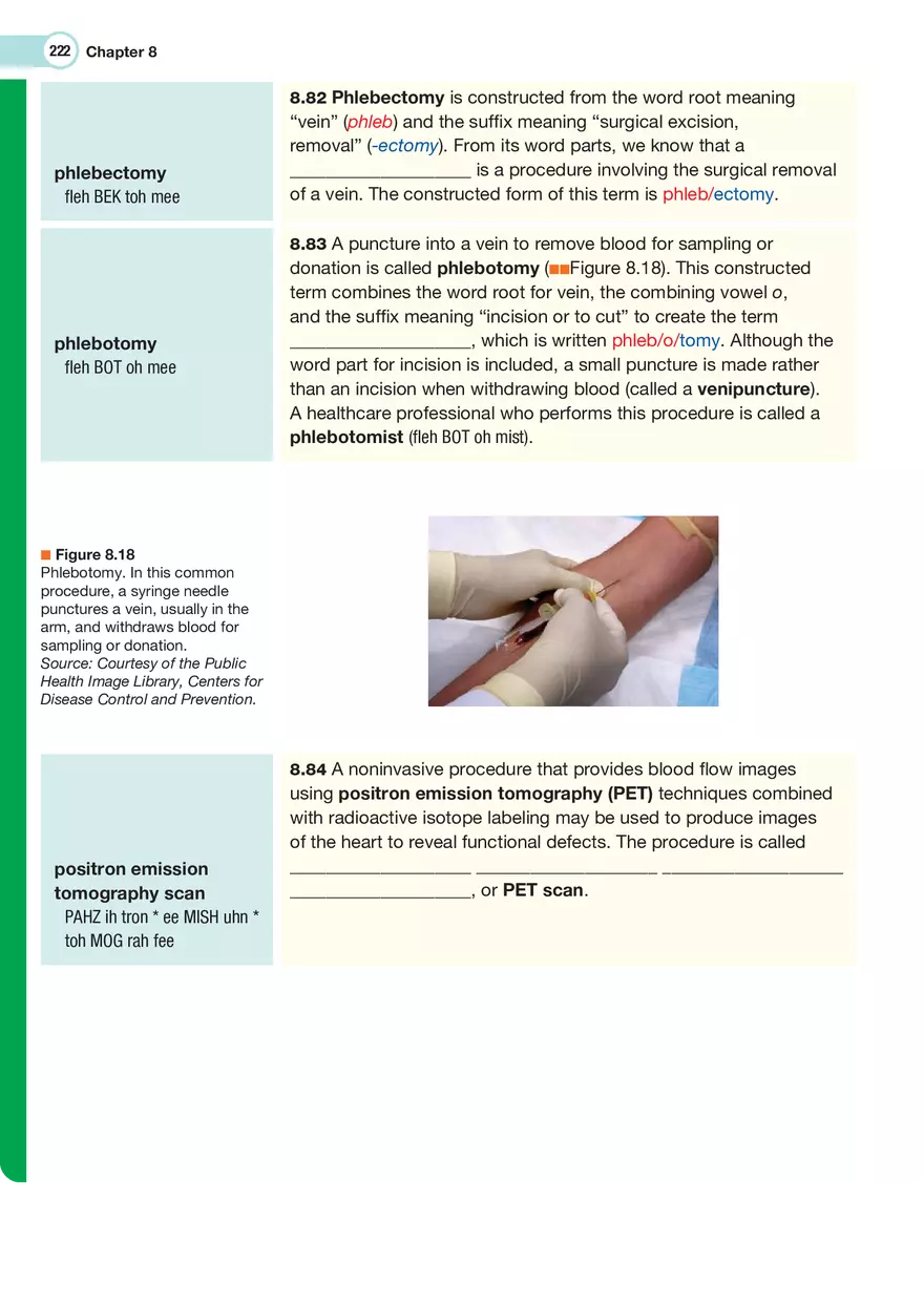 The Cardiovascular System Medical Terminology - Page 25
