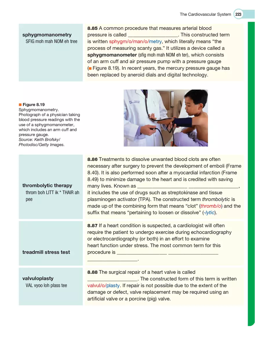 The Cardiovascular System Medical Terminology - Page 26
