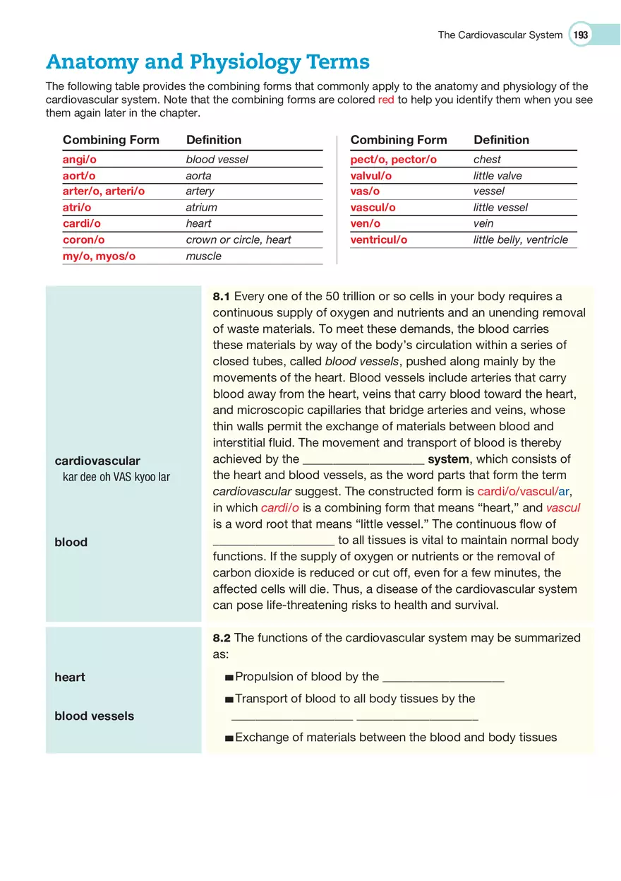 The Cardiovascular System Medical Terminology - Page 2