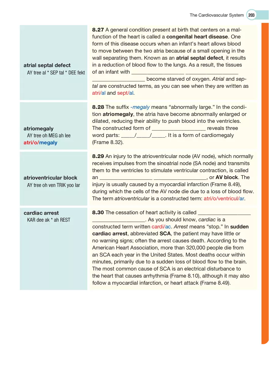 The Cardiovascular System Medical Terminology - Page 4