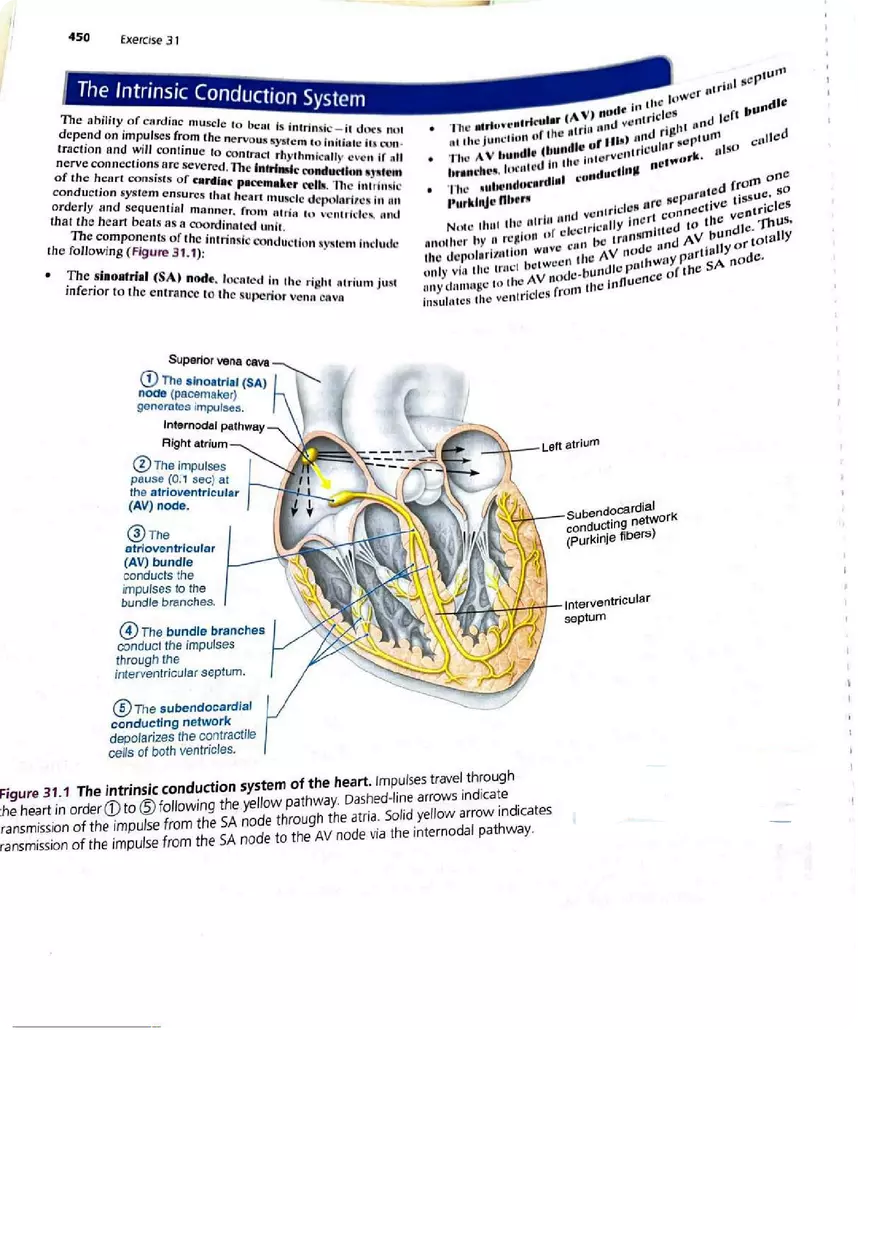 EKG Lab - Page 1