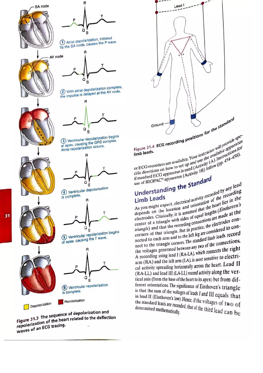 EKG Lab - Page 3