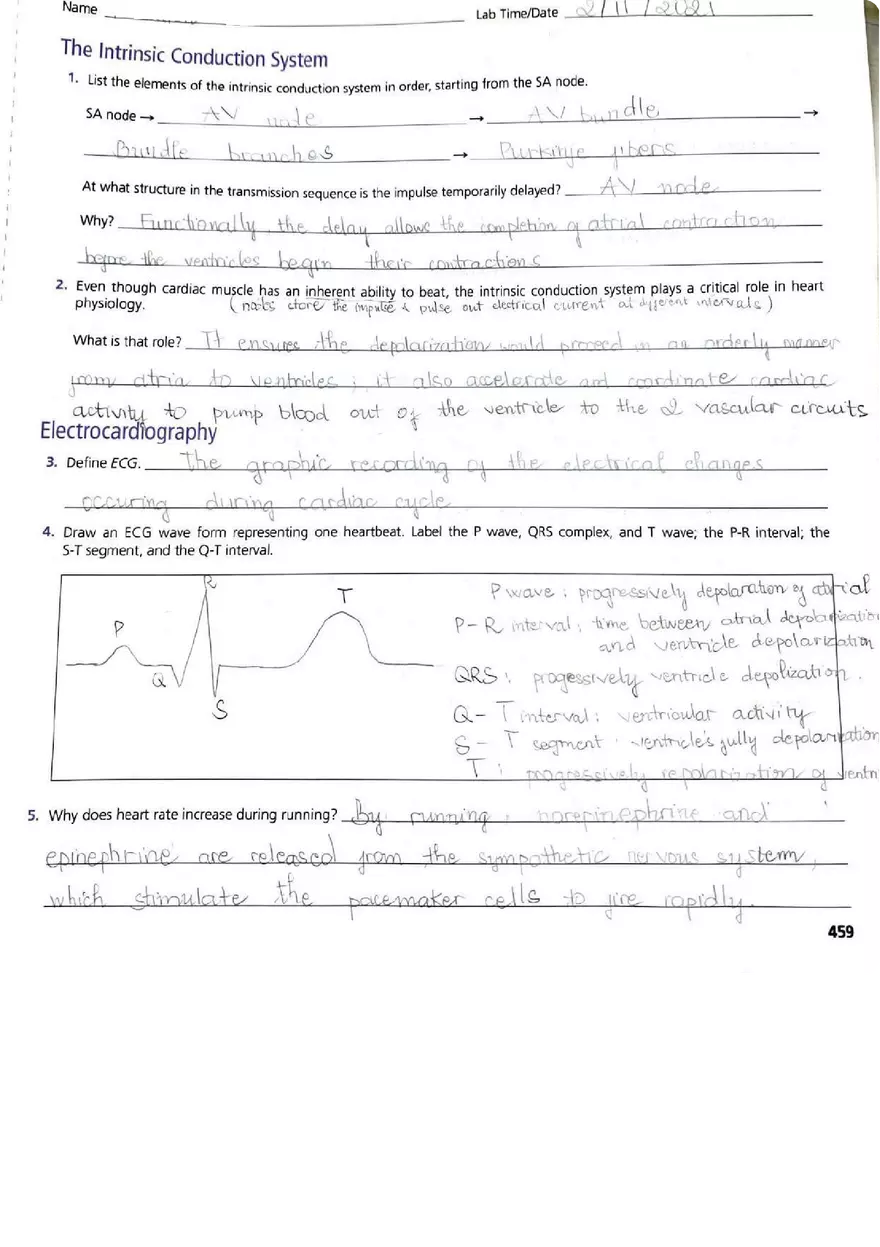 EKG Lab - Page 4