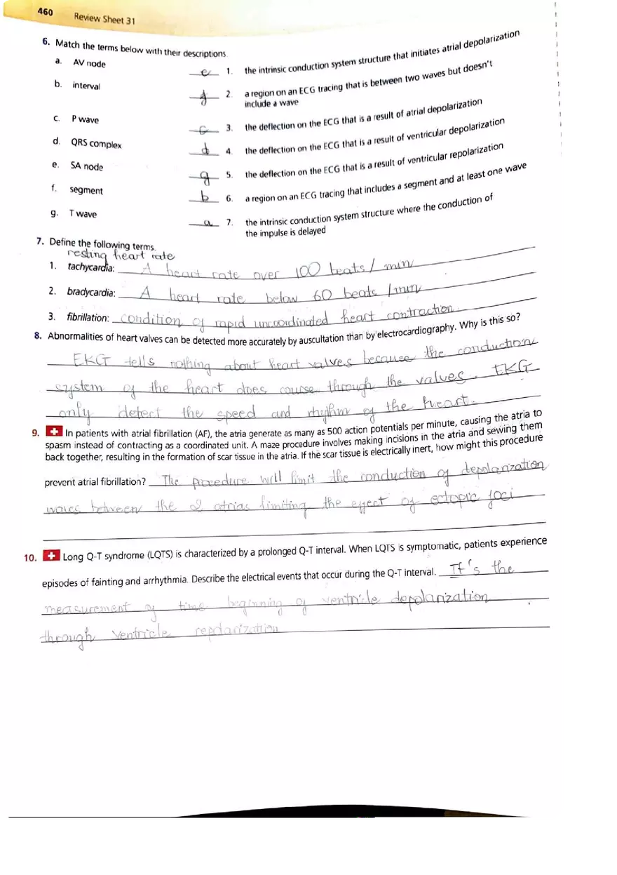 EKG Lab - Page 5