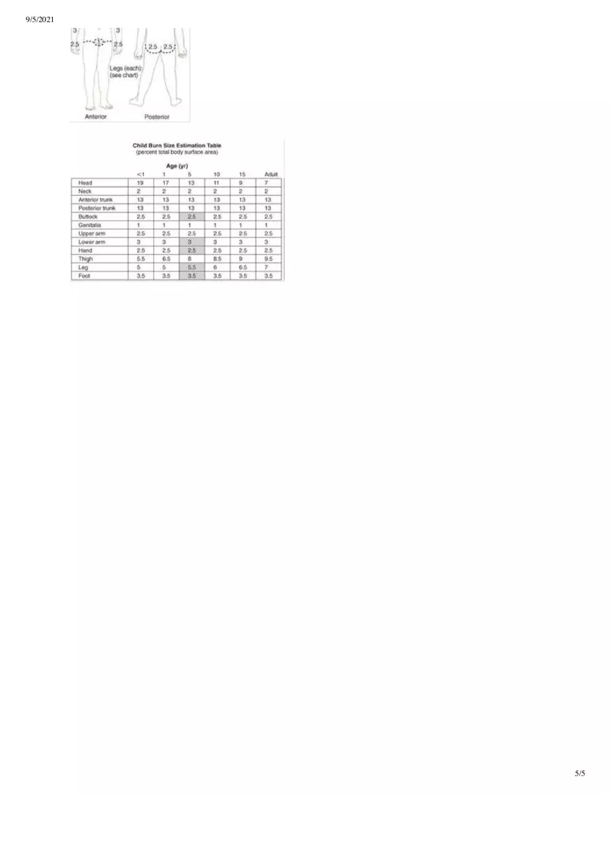 Pediatric Study Guide Quiz 2 - Page 5