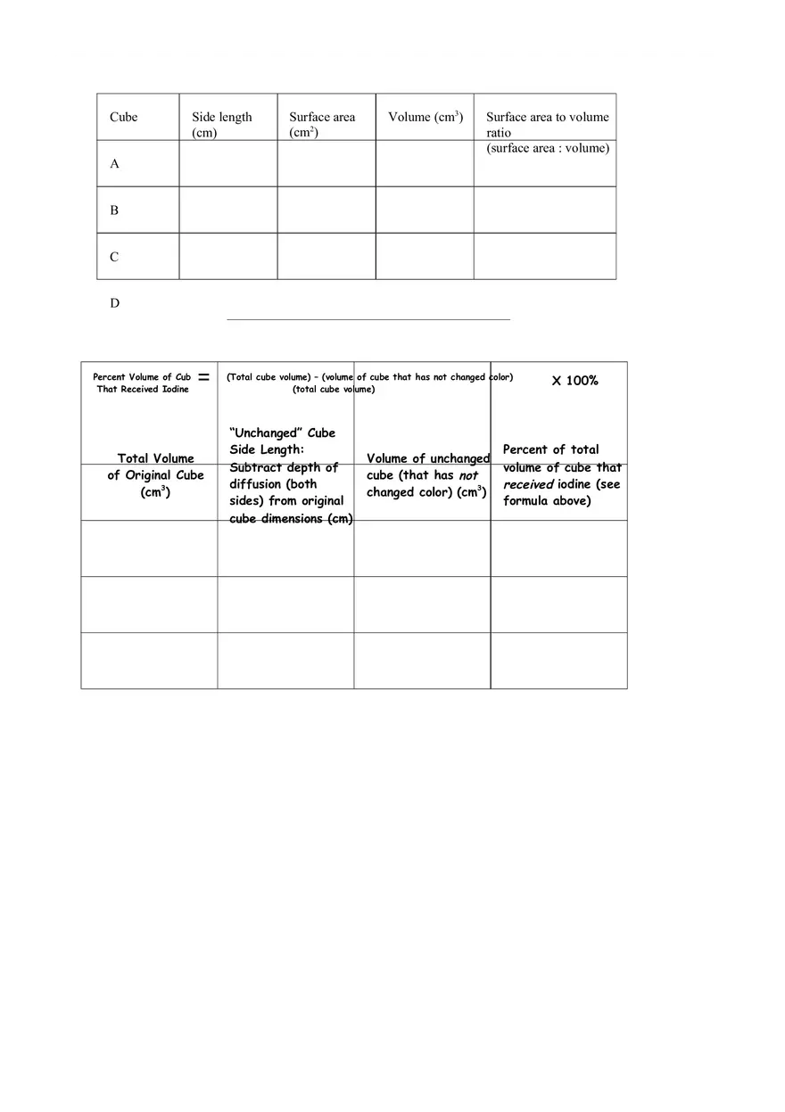 Lab Cell Size - Page 3