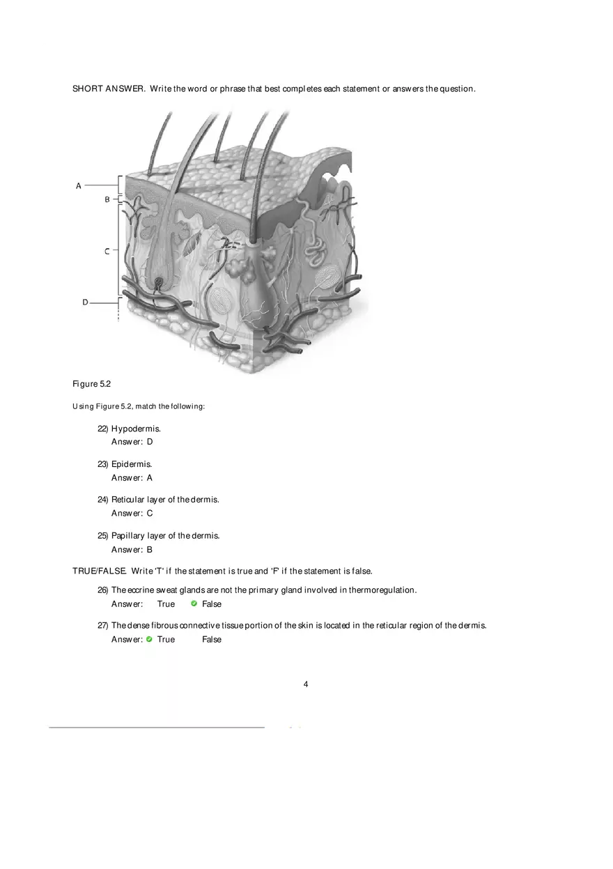 Components of Photosystems Answer Key - Page 10