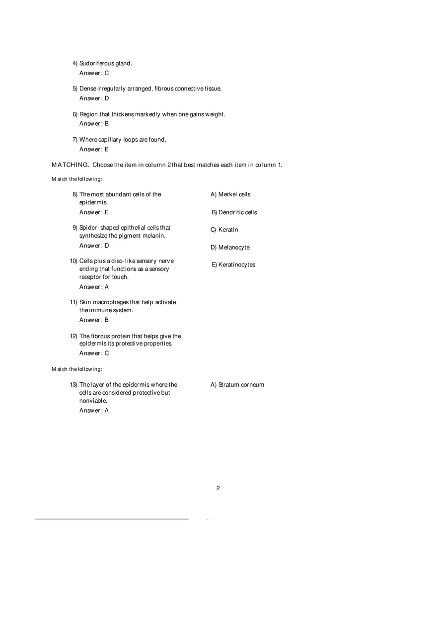 Components of Photosystems Answer Key - Page 2