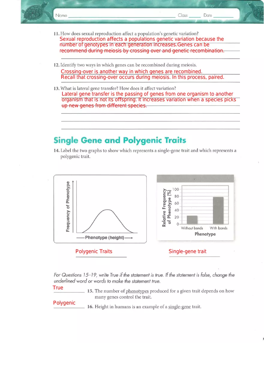 Genes and Variation Chapter 17 Study Guide - Page 8