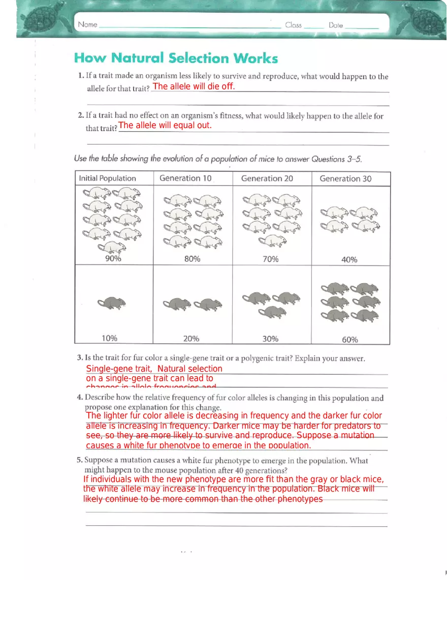 Genes and Variation Chapter 17 Study Guide - Page 11