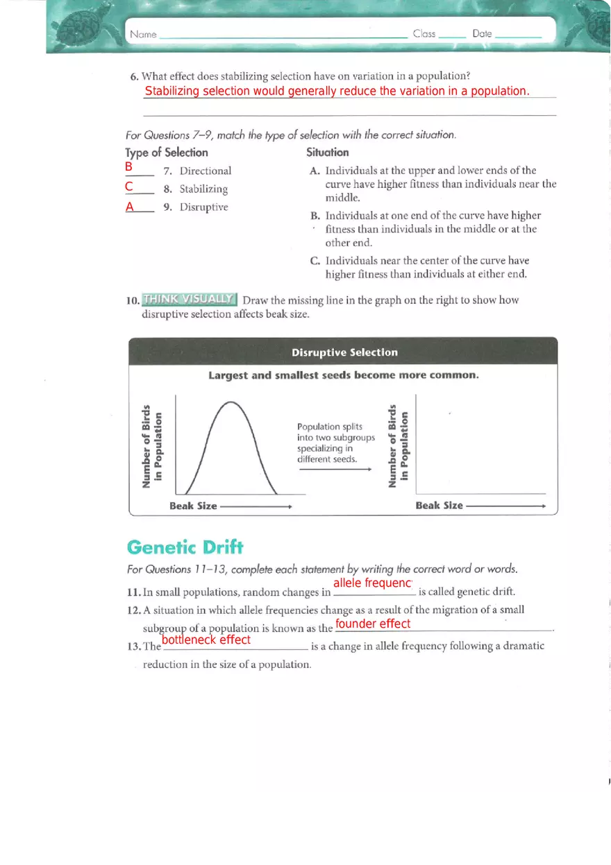 Genes and Variation Chapter 17 Study Guide - Page 12