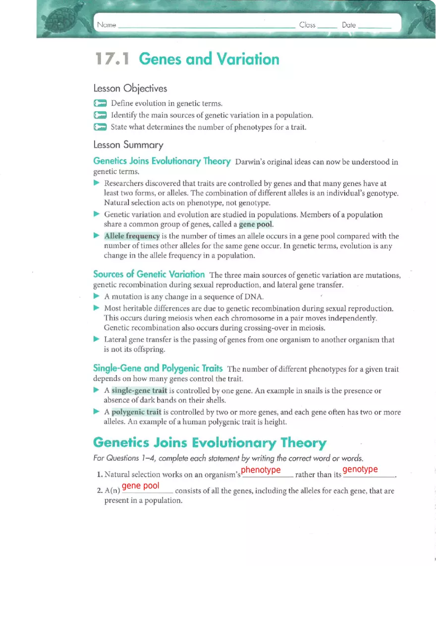 Genes and Variation Chapter 17 Study Guide - Page 1