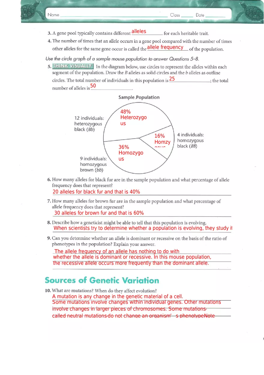 Genes and Variation Chapter 17 Study Guide - Page 2