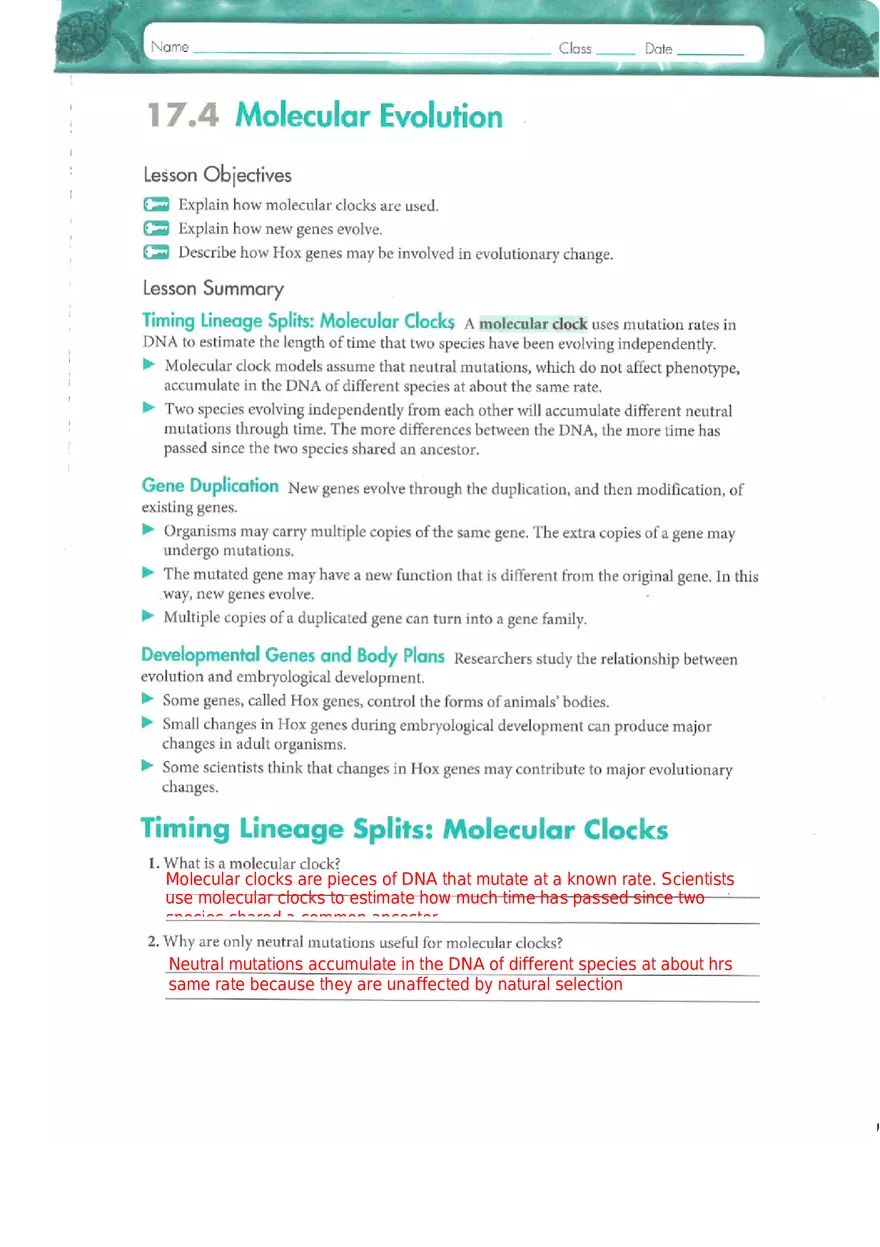 Genes and Variation Chapter 17 Study Guide - Page 4