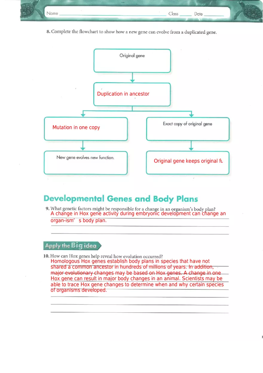 Genes and Variation Chapter 17 Study Guide - Page 6