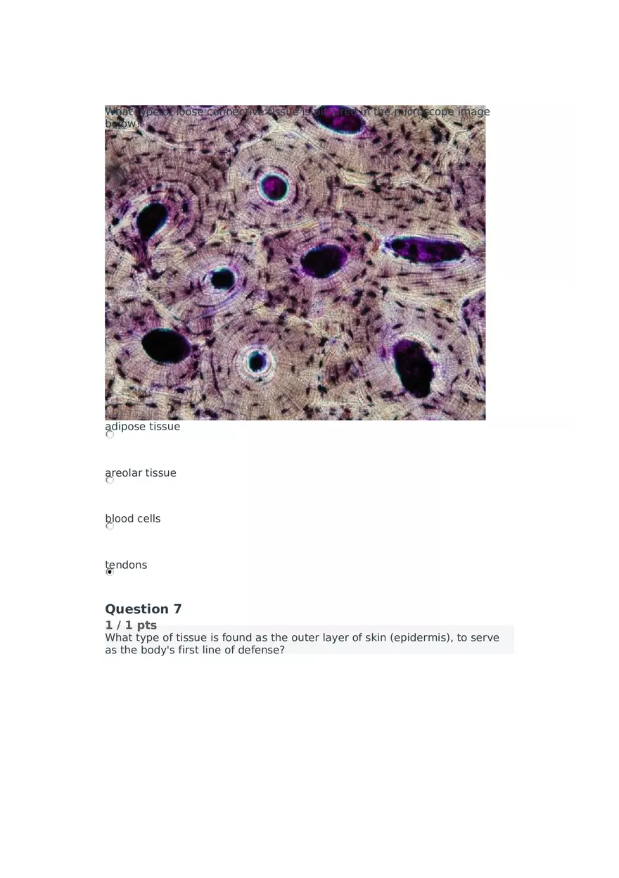 Cell Membrane to Cardiovascular System Quiz Part 5 - Page 7