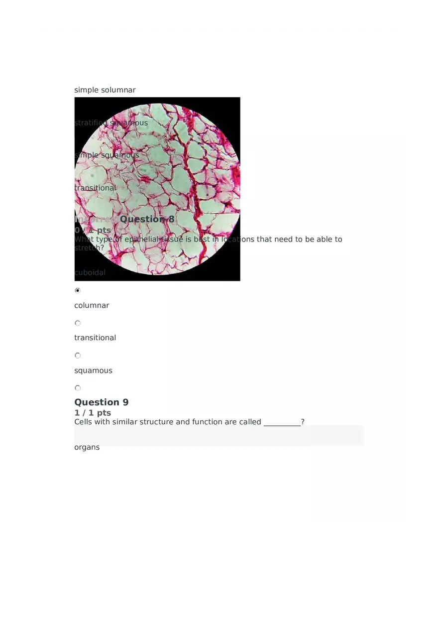 Cell Membrane to Cardiovascular System Quiz Part 5 - Page 8