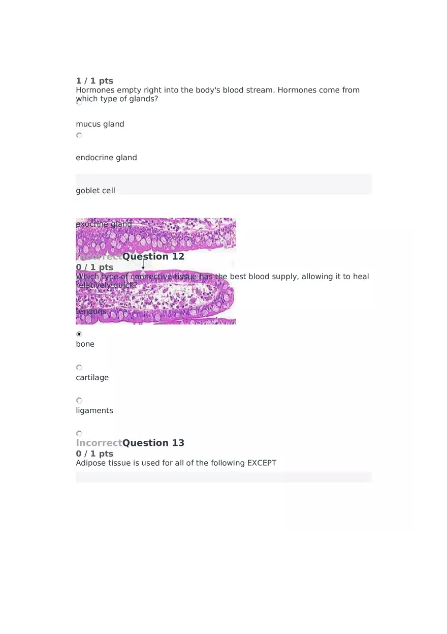 Cell Membrane to Cardiovascular System Quiz Part 5 - Page 10