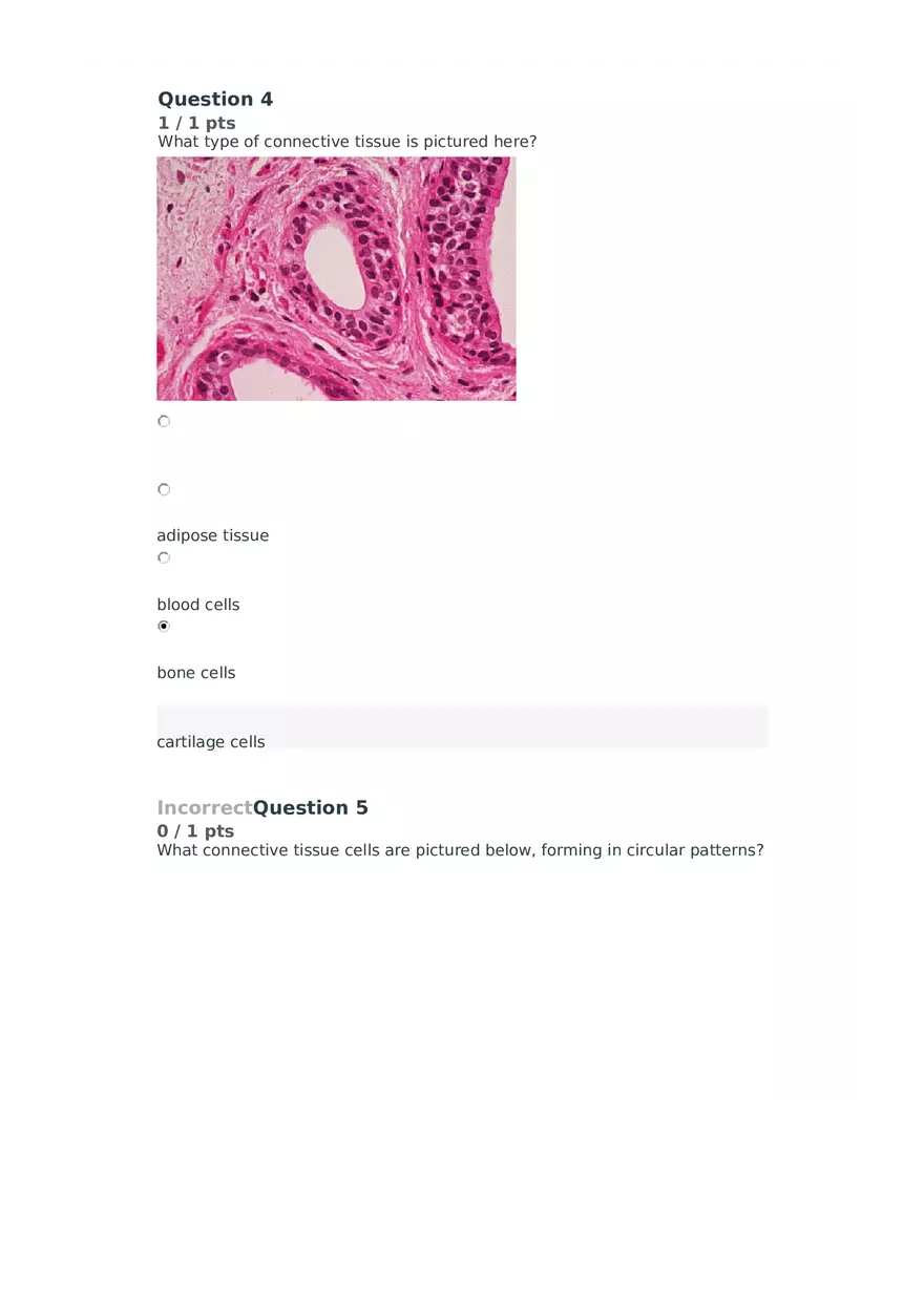 Cell Membrane to Cardiovascular System Quiz Part 5 - Page 1