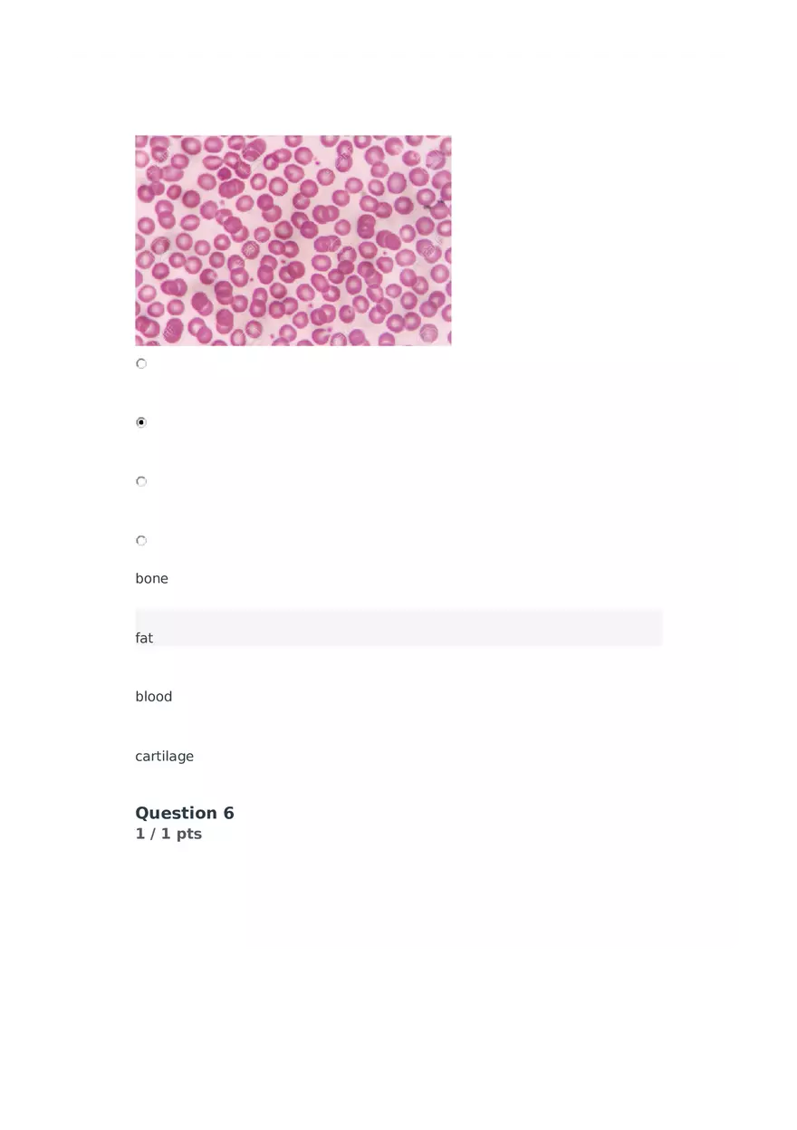 Cell Membrane to Cardiovascular System Quiz Part 5 - Page 2