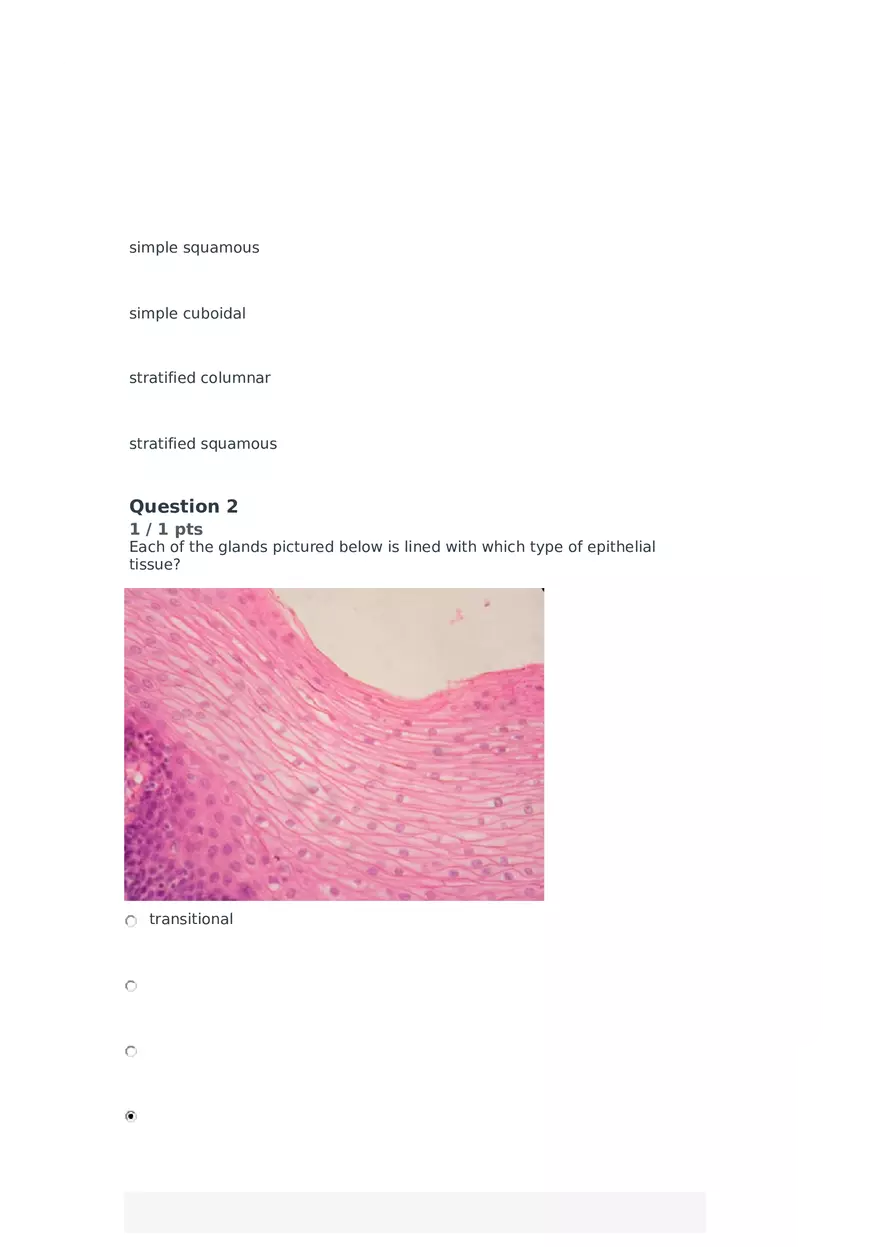 Cell Membrane to Cardiovascular System Quiz Part 4 - Page 11