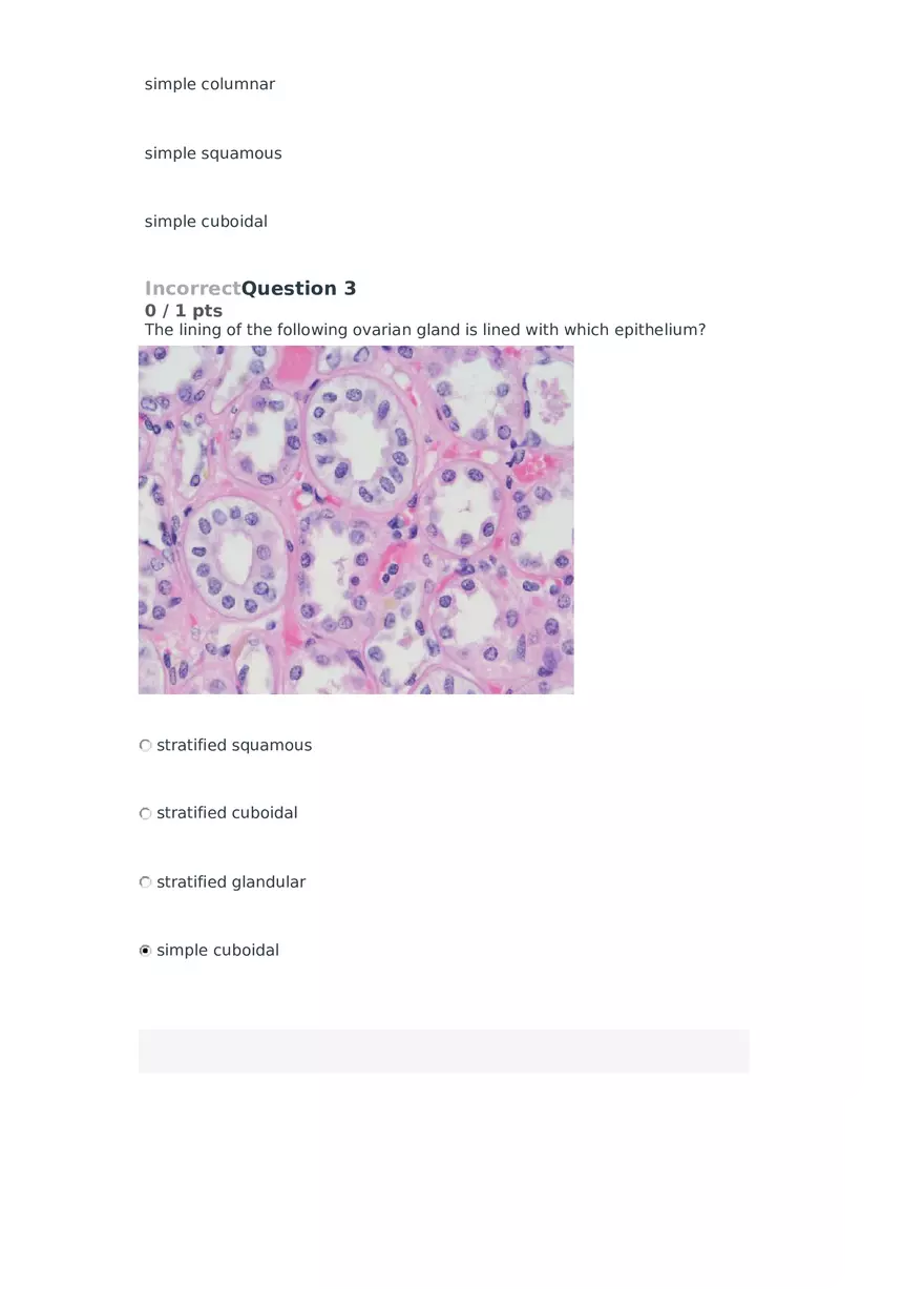 Cell Membrane to Cardiovascular System Quiz Part 4 - Page 3